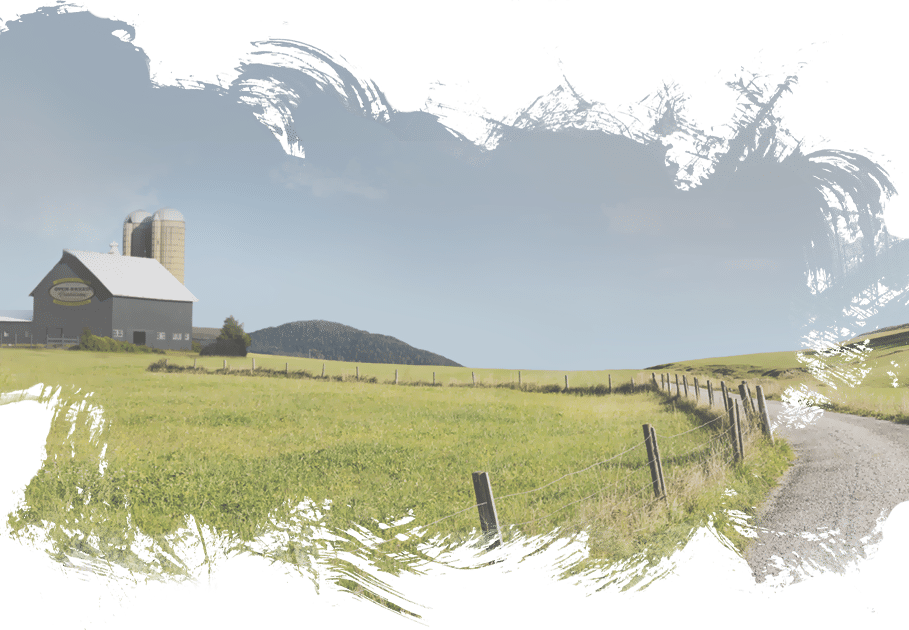 Ferme