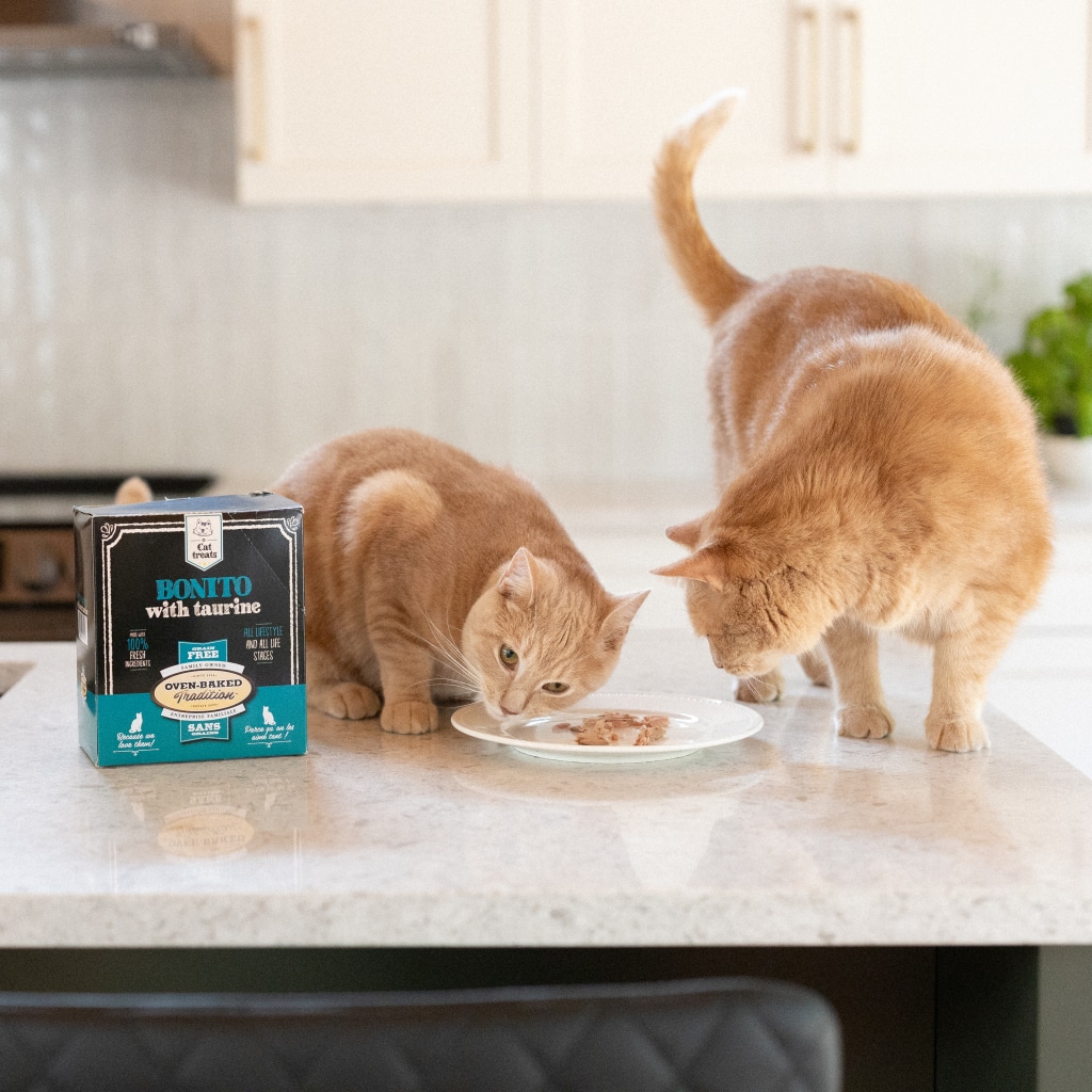 Two cats tasting hypoallergenic bonito fillet with taurine by Oven-Baked Tradition
