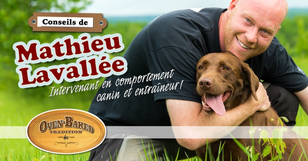 Conseils de Mathieu Lavallée 1200X628 FR