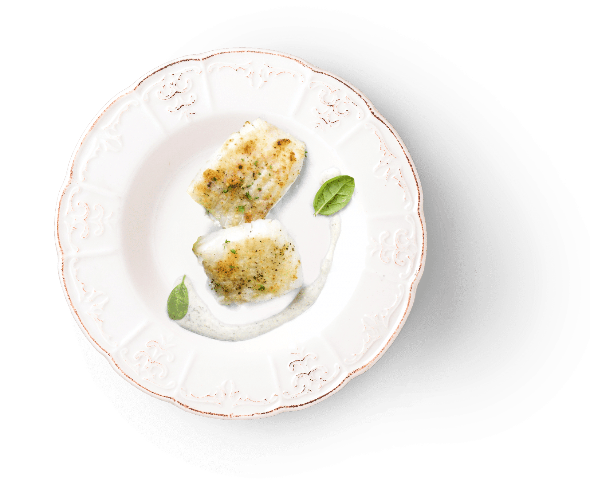 plate