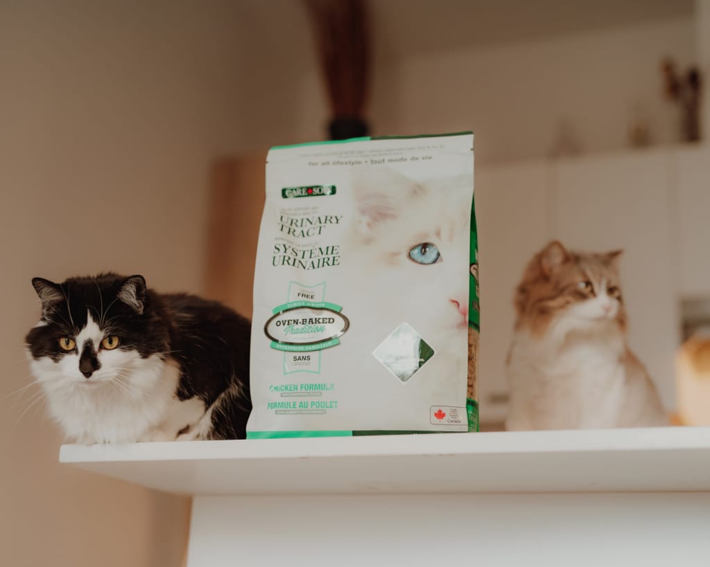 Deux chats assis près d’un sac de nourriture Oven-Baked Tradition, symbole d’une alimentation saine pour chats.