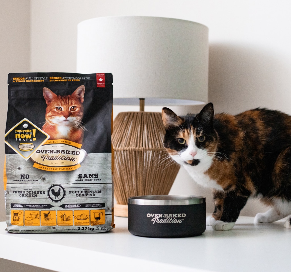 Adult cat next to a bag of Oven-Baked Tradition Fresh Deboned Chicken kibble and a bowl, illustrating healthy and balanced nutrition for pet wellness.