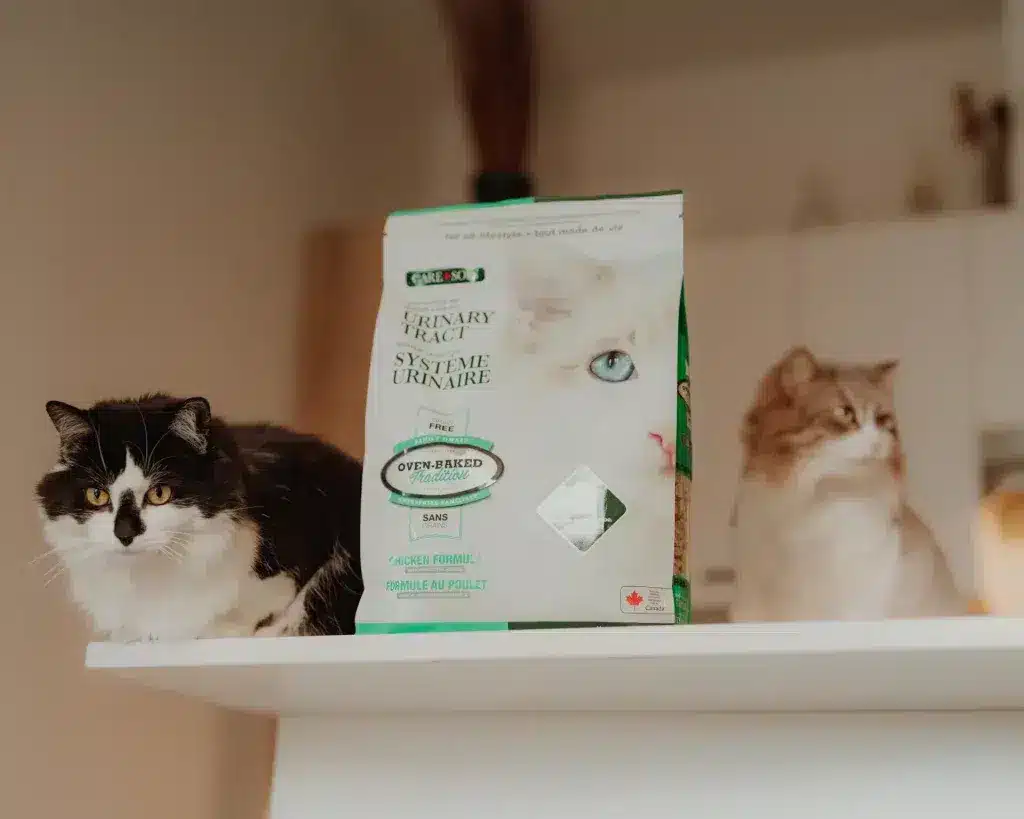 Two cats sitting next to an Oven-Baked Tradition cat food bag, representing healthy feline nutrition.