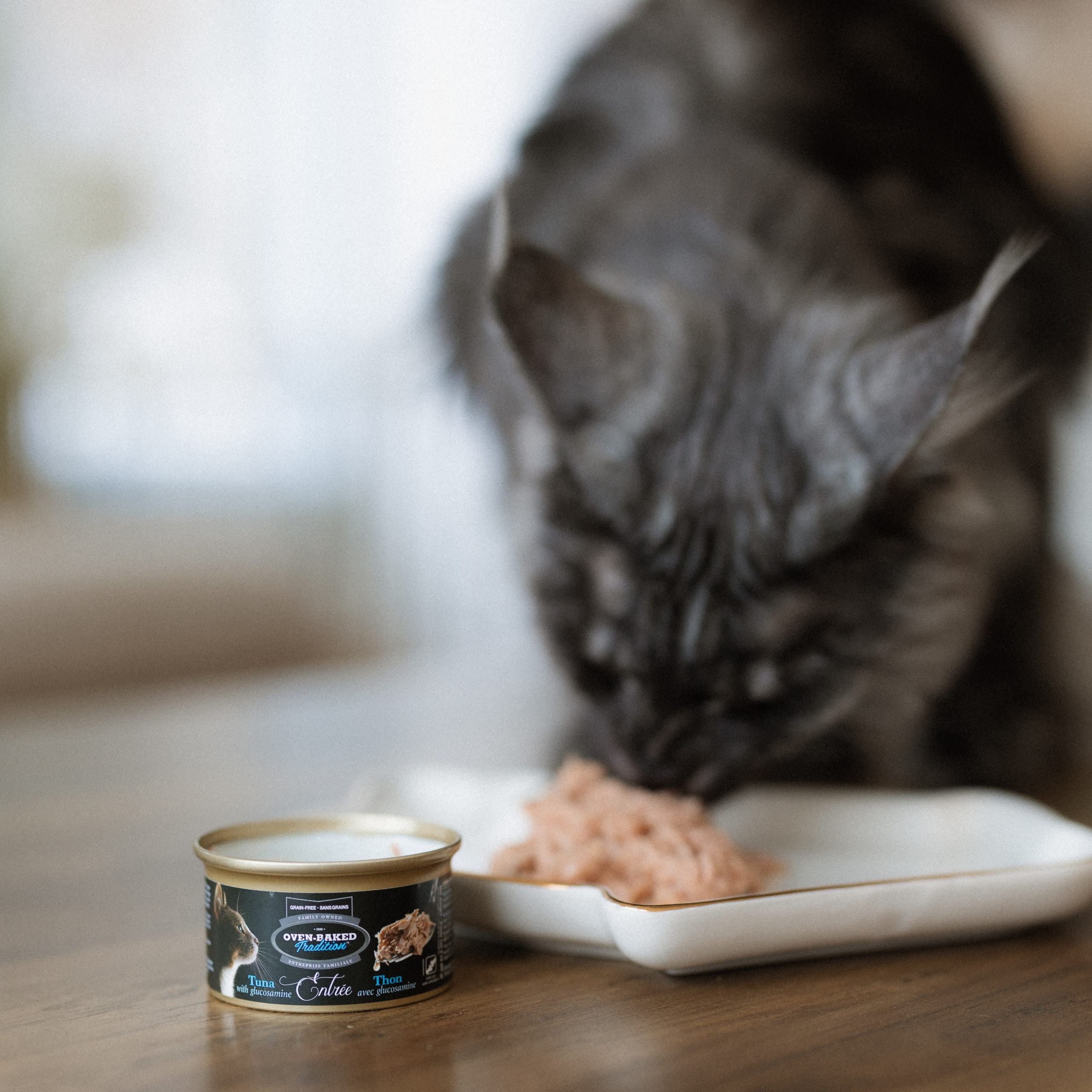 Cat eating Oven-Baked Tradition Hypoallergic Tuna Entrée wet cat food from a white dish, with the product can placed in the foreground on a wooden table