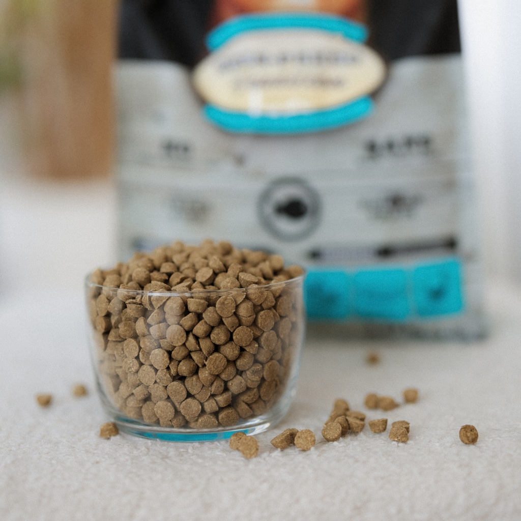 Close-up of Oven-Baked Tradition hypoallergenic dog food kibble in a glass bowl, with the product bag blurred in the background.