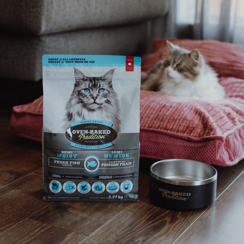 Chat adulte à côté d’un sac de nourriture pour chat semi-humide au poisson, lentement cuite au four, à texture tendre adaptée aux chats sensibles ou ayant des problèmes dentaires.