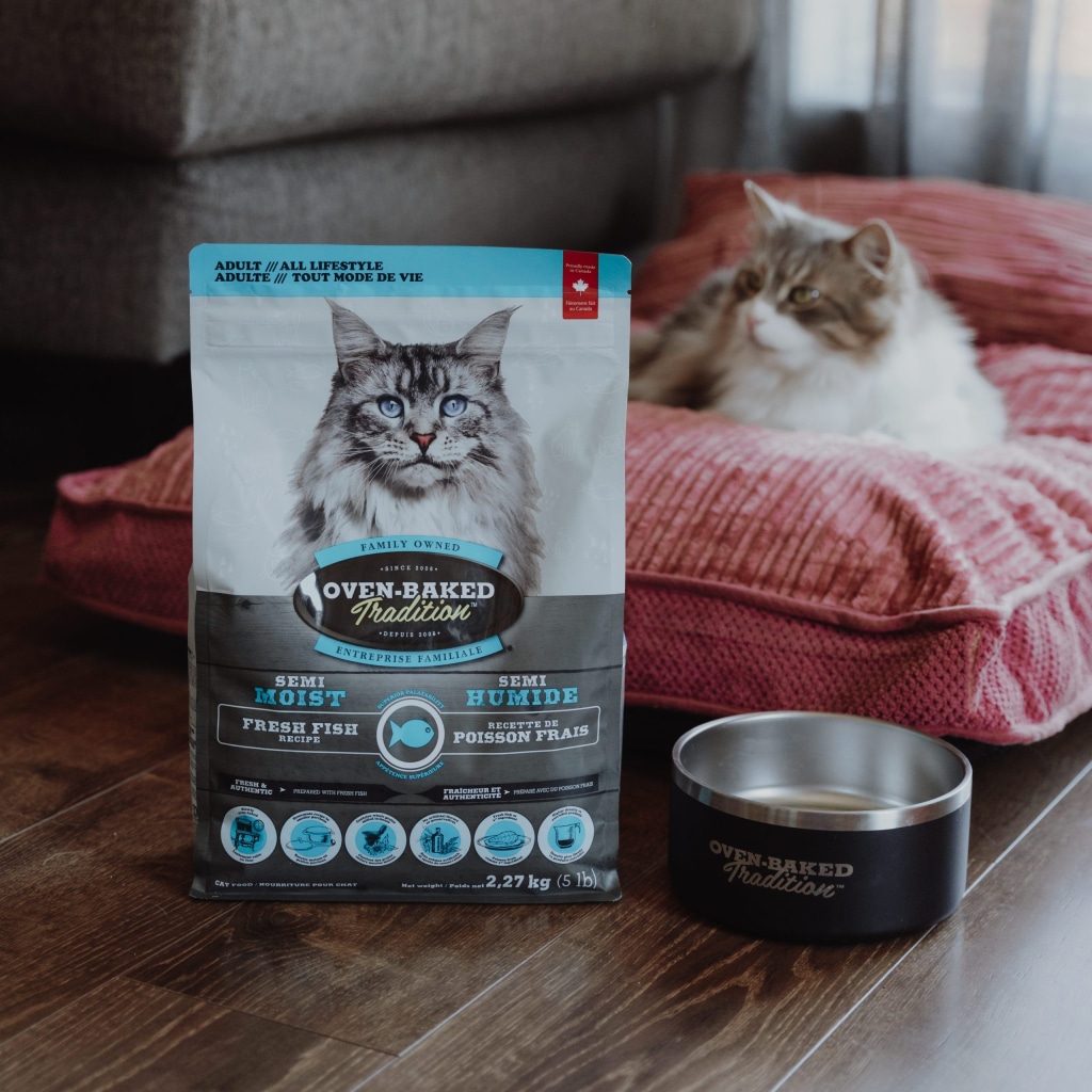 Adult cat next to a bag of semi-moist cat food, slowly oven-baked, with a soft texture suitable for cats with dental sensitivity.