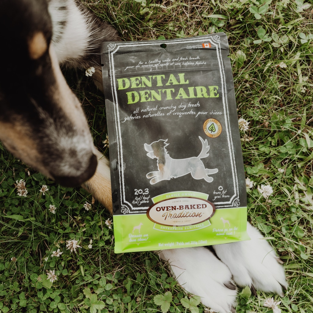 Dog lying on grass with dental treats for dogs – Oven-Baked Tradition