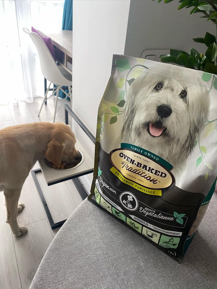 Dog eating Oven-Baked Tradition vegan dog food from a ceramic bowl, with the product bag featuring a black-and-white dog visible in the background.