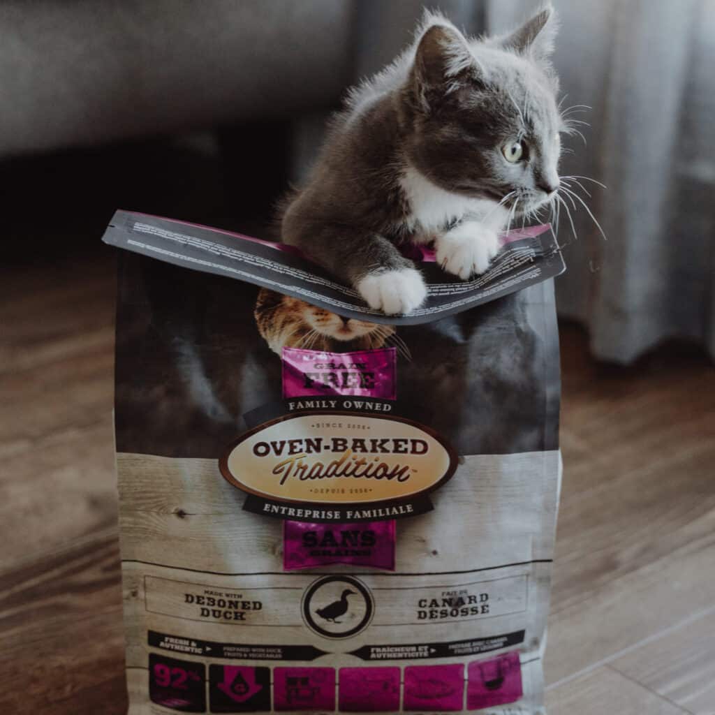 Chaton jouant avec un sac de nourriture pour tous les stades de vie au canard Oven-Baked Tradition, cuite au four et hypoallergénique.