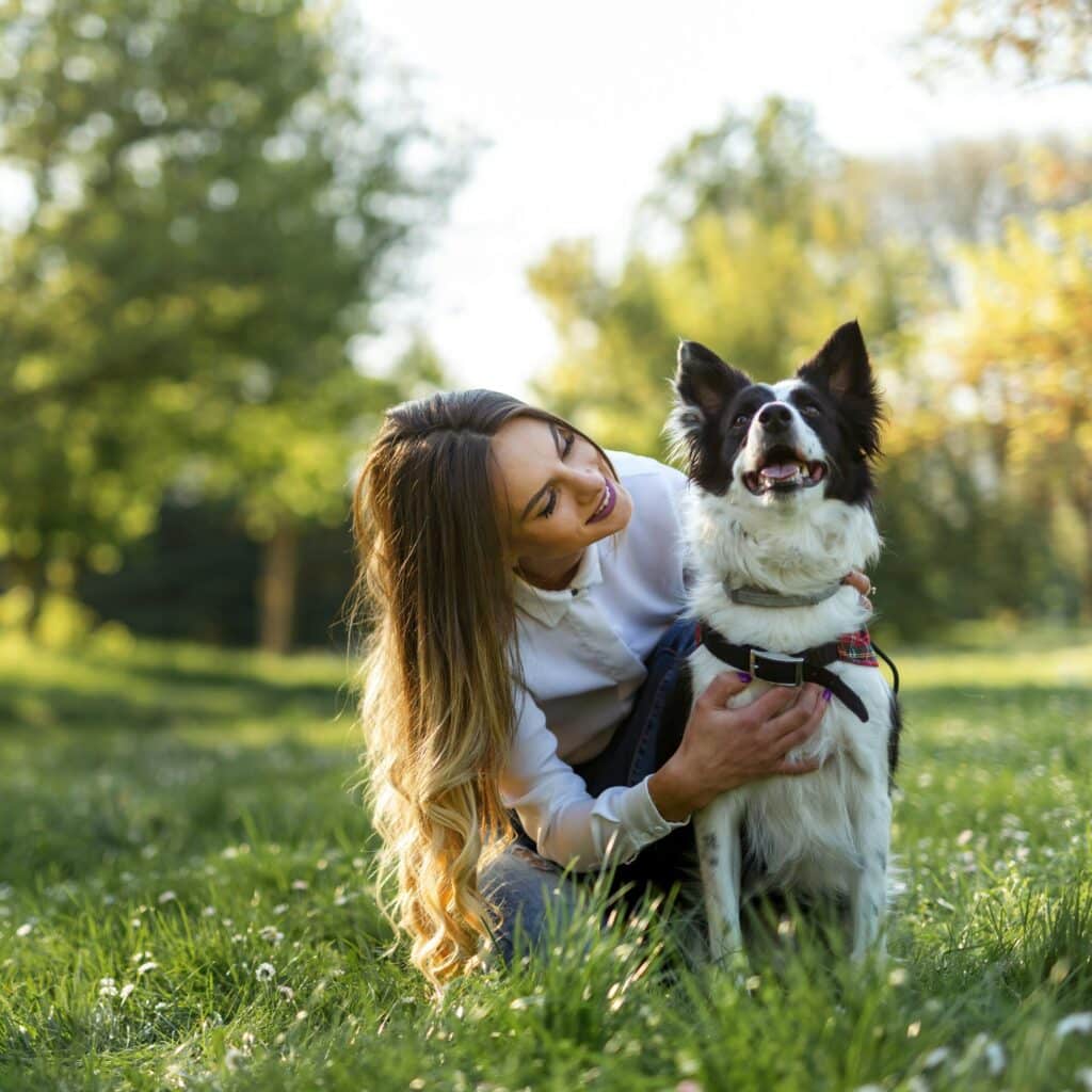 Dog and owner at an off-leash dog park in Ottawa