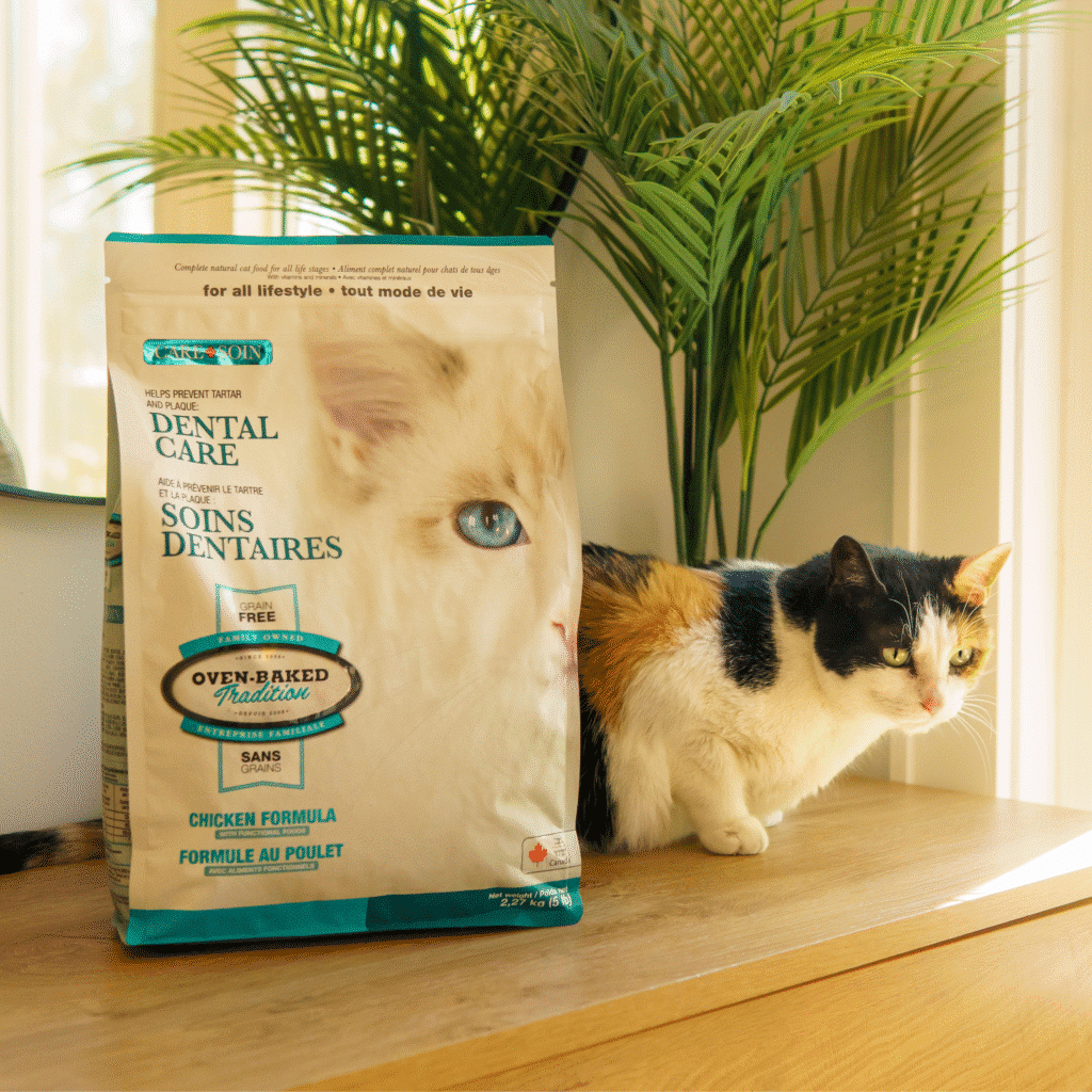 Cat waiting by the window for its family to return during the back-to-school season, beside Oven-Baked Tradition Dental Care cat food